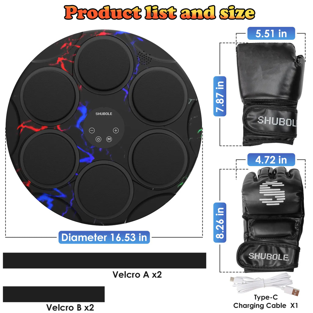 SHUBOLE Music Boxing Machine with Gloves - Wall Mounted Punching Trainer for Adults & Kids, 9-Speed Punch Game, Wall Boxing Punching Pad, 2025 Upgrade Gifts for Boys Age 6+
